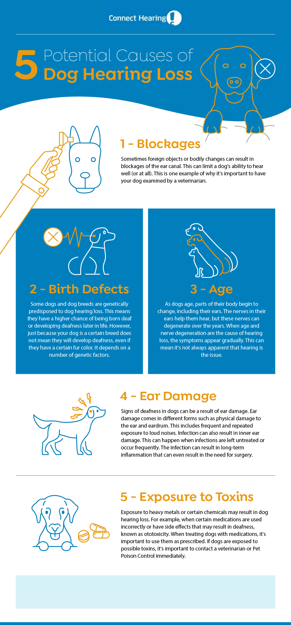 5 Common Signs of Deafness in Dogs | Connect Hearing Canada